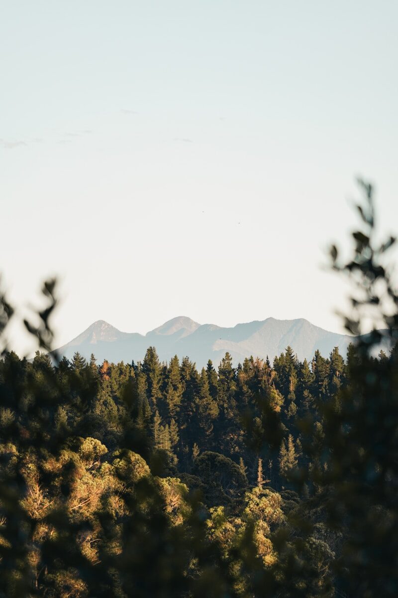 Forensic Evidence in Prosecution